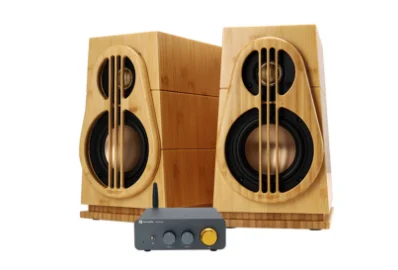 R804 Passive HIFI Bamboo Box